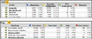 Omniture Site Catalyst - Blog view