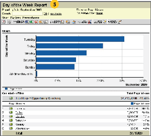 Omniture Site Catalyst - Blog view