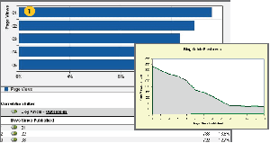 Omniture Site Catalyst - Blog view